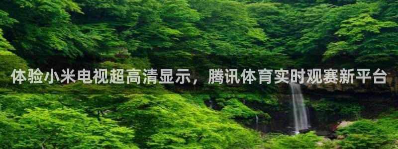 火凤直播足球：体验小米电视超高清显示，腾讯体育实时观赛新平台