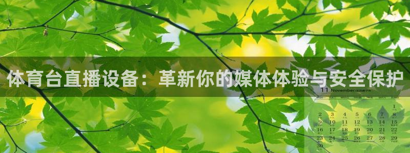 足球直播火凤直播