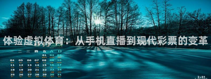 火凤直播体育官网入口在线观看