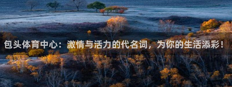火凤体育直播在线观看高清