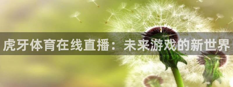 火凤足球比赛直播