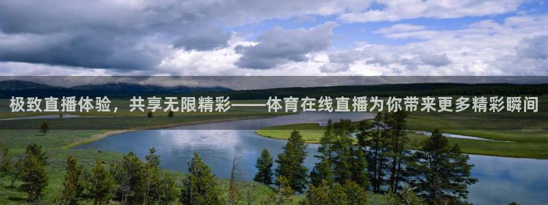 nba火凤直播