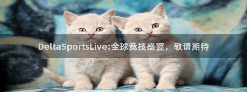 火凤体育免费直播在线观看