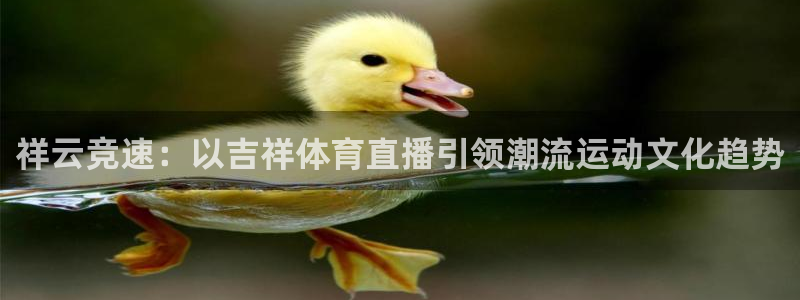 火凤体育赛事直播