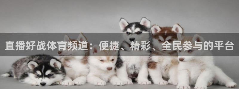 火凤直播足球