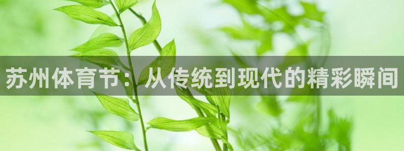 火凤足球比赛直播：苏州体育节：从传统到现代的精彩瞬间