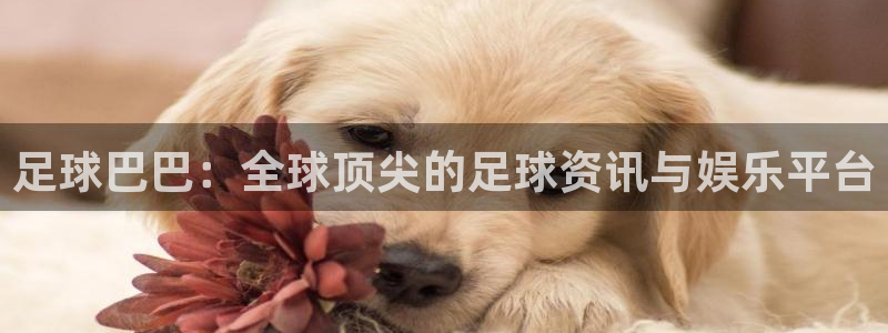 火凤体育免费直播入口：足球巴巴：全球顶尖的足球资讯与娱乐平台