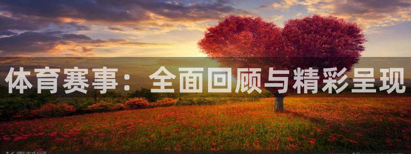 火凤直播体育：体育赛事：全面回顾与精彩呈现